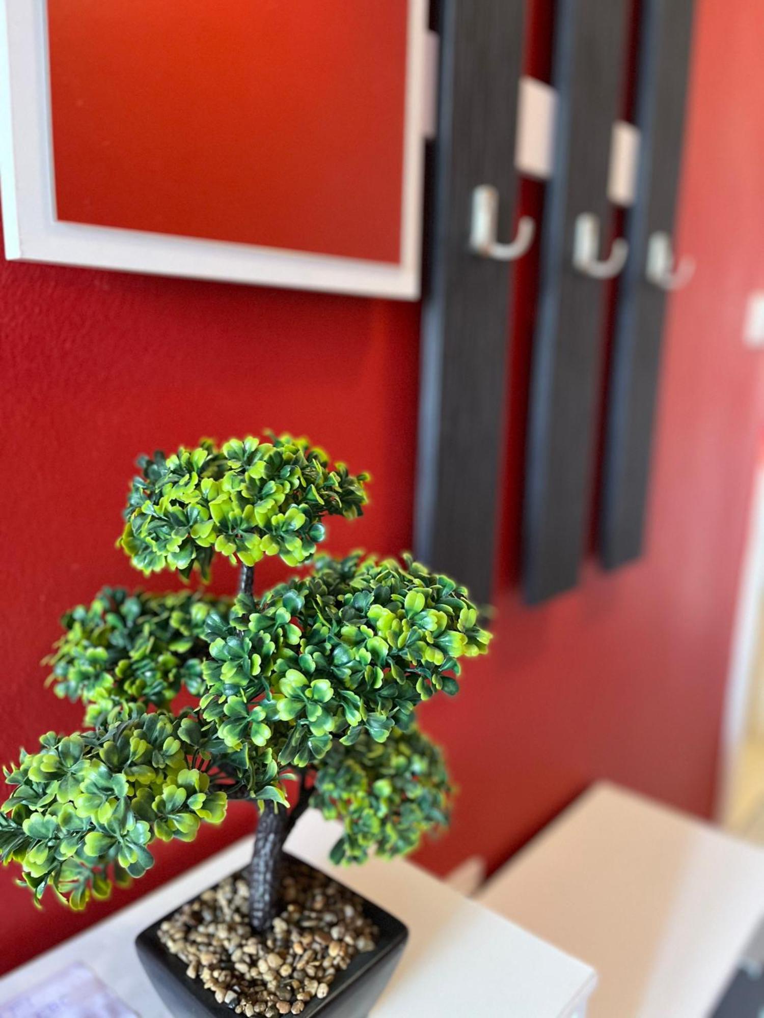 Apartments Villa Mirella 20 M From The Sea - Free Parking 트로기르 외부 사진